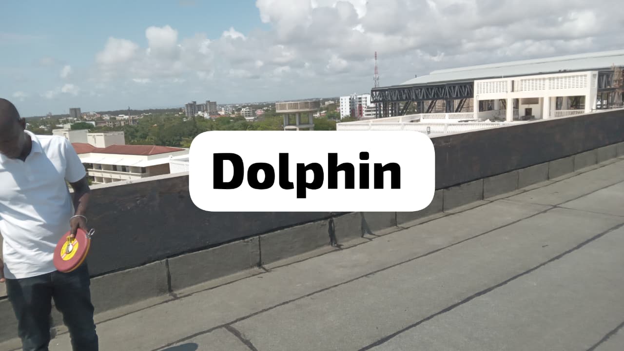 Dolphin Hotel project - Completed work